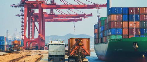 寧波貨代亂象叢生，如何找到可信賴的貨運(yùn)代理